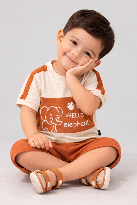 Baby Boys Hello Elephant T-Shirt & Shorts Set ( 1 to 12 ) months - Image 2